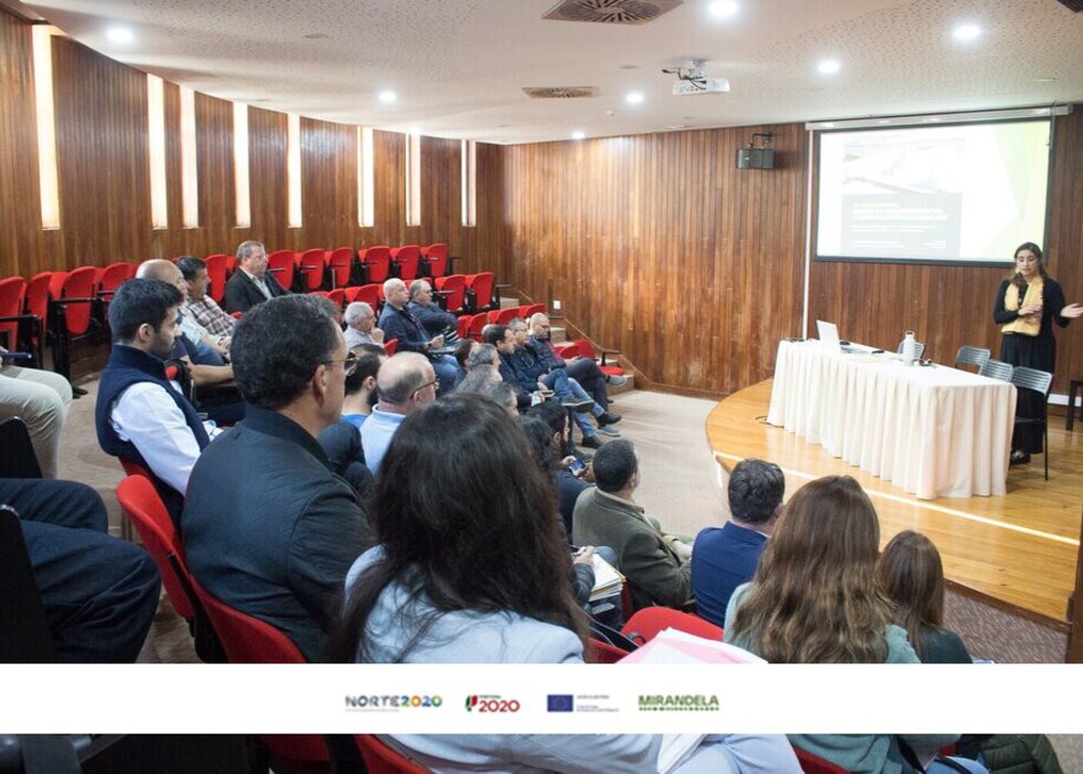 zi_mirandela2
