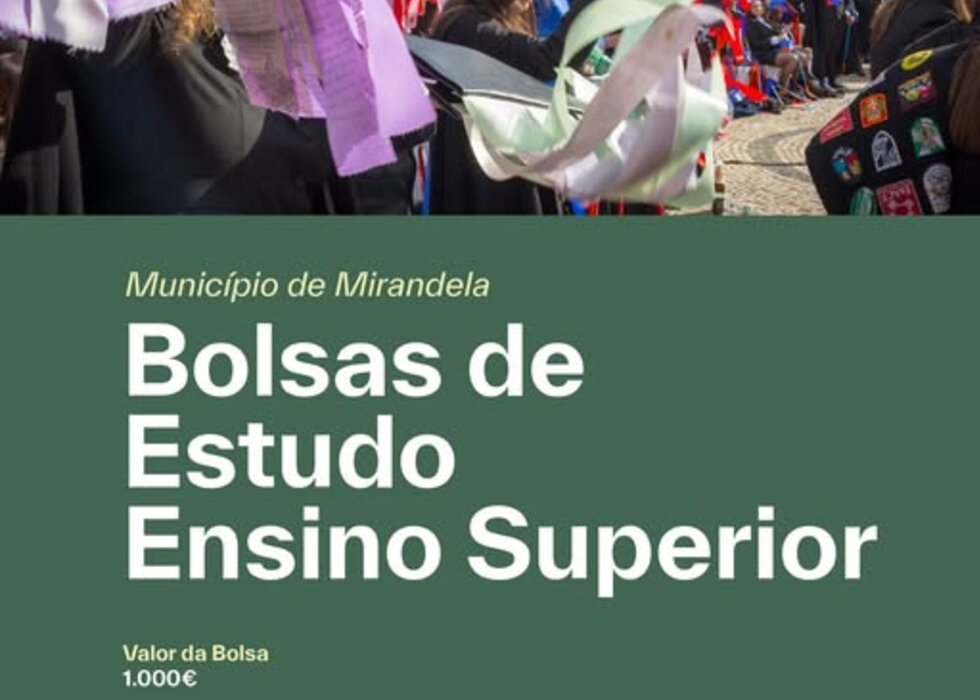 bolsa_n