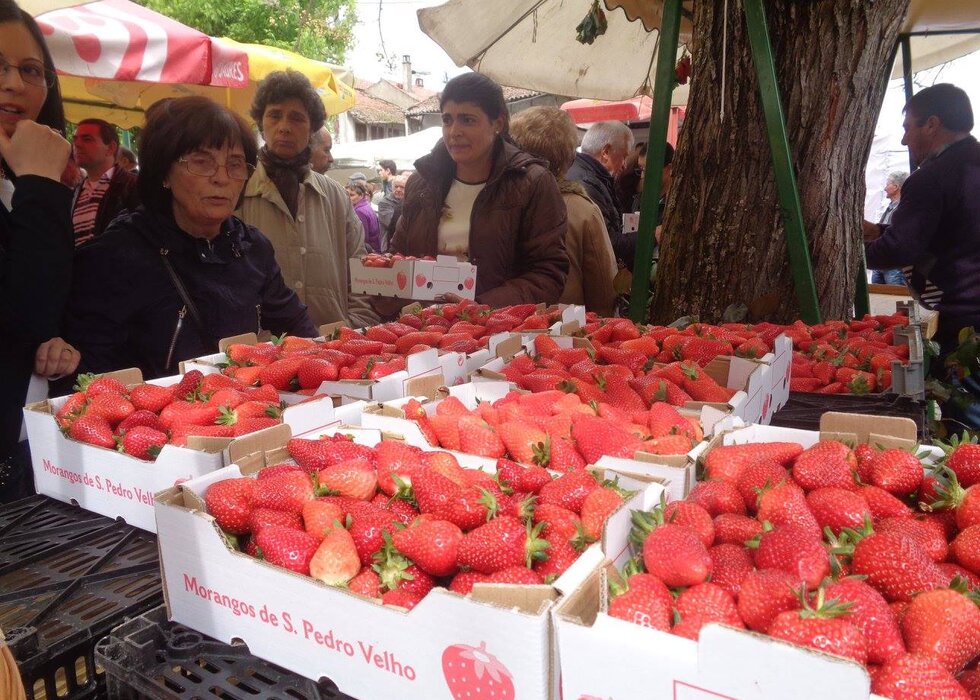 feira_vinho_morango