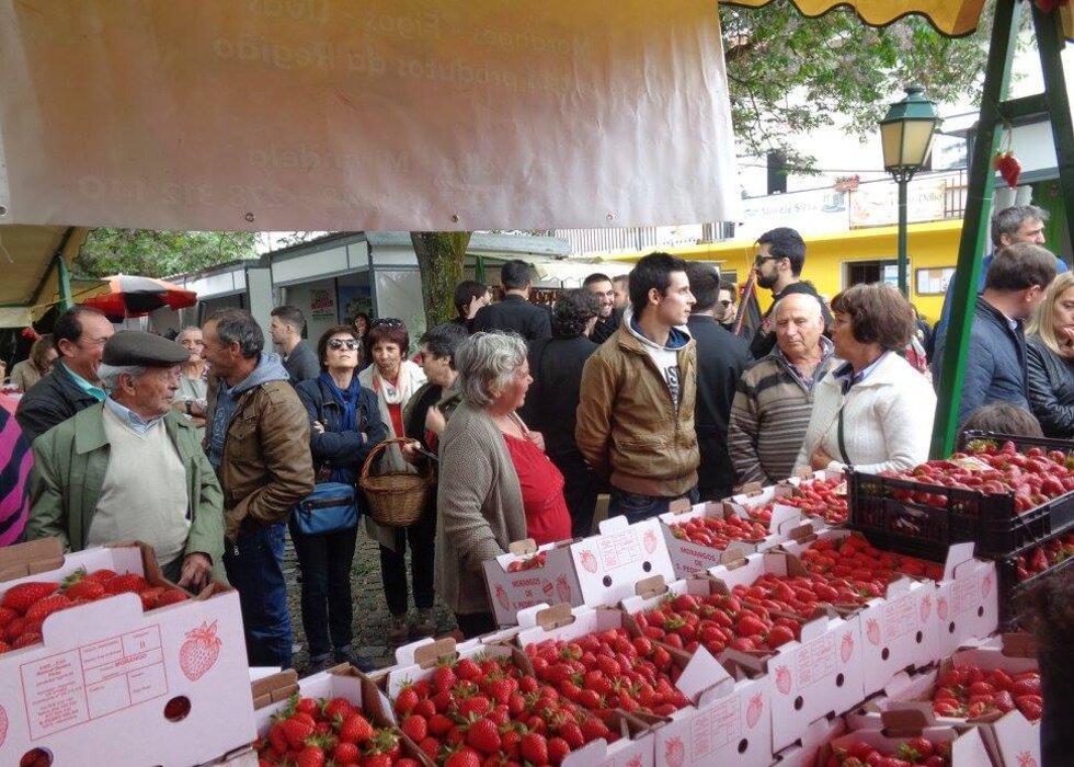 feira_vinho_morangos__3_