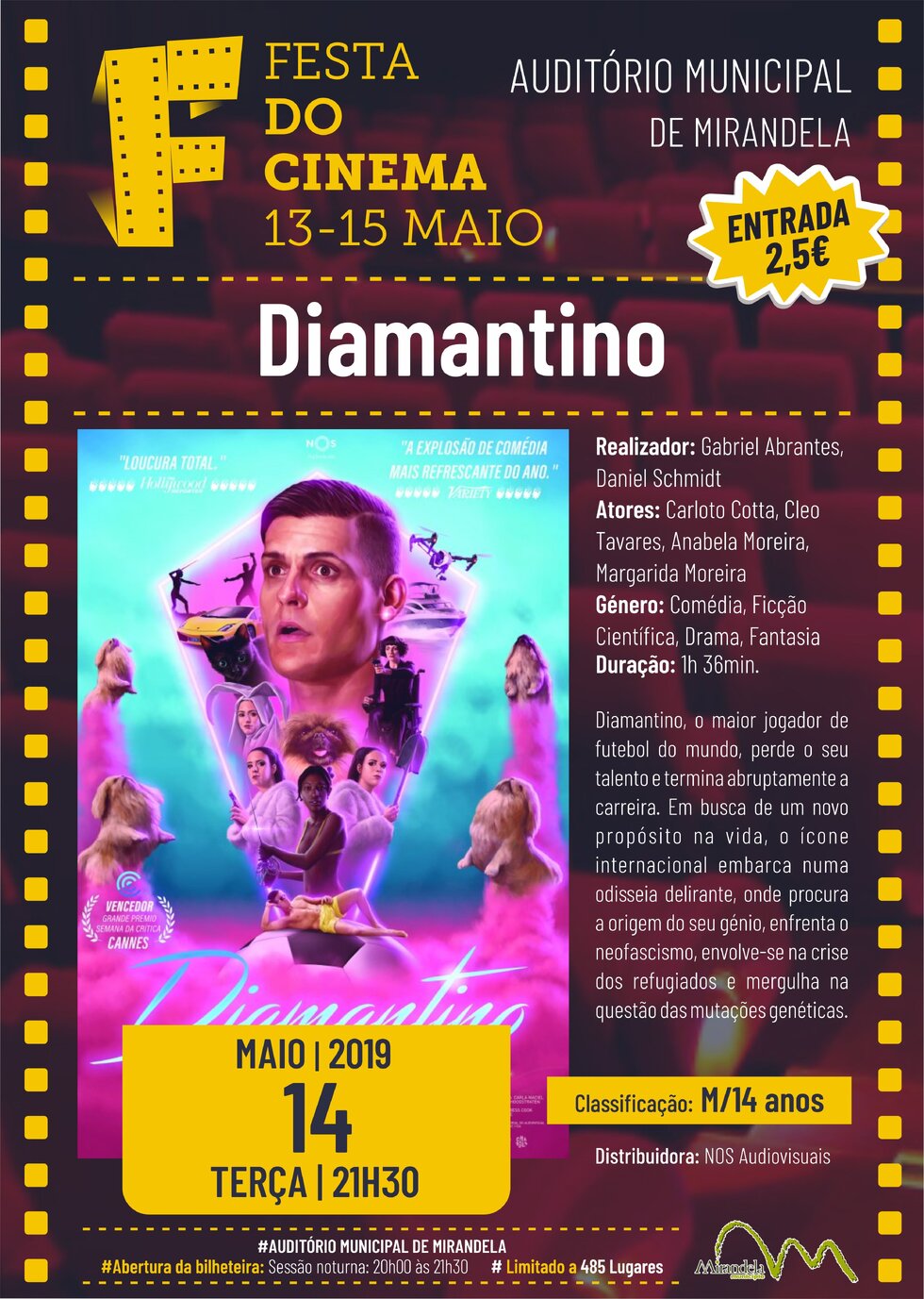 cartaz_filme_Diamantino