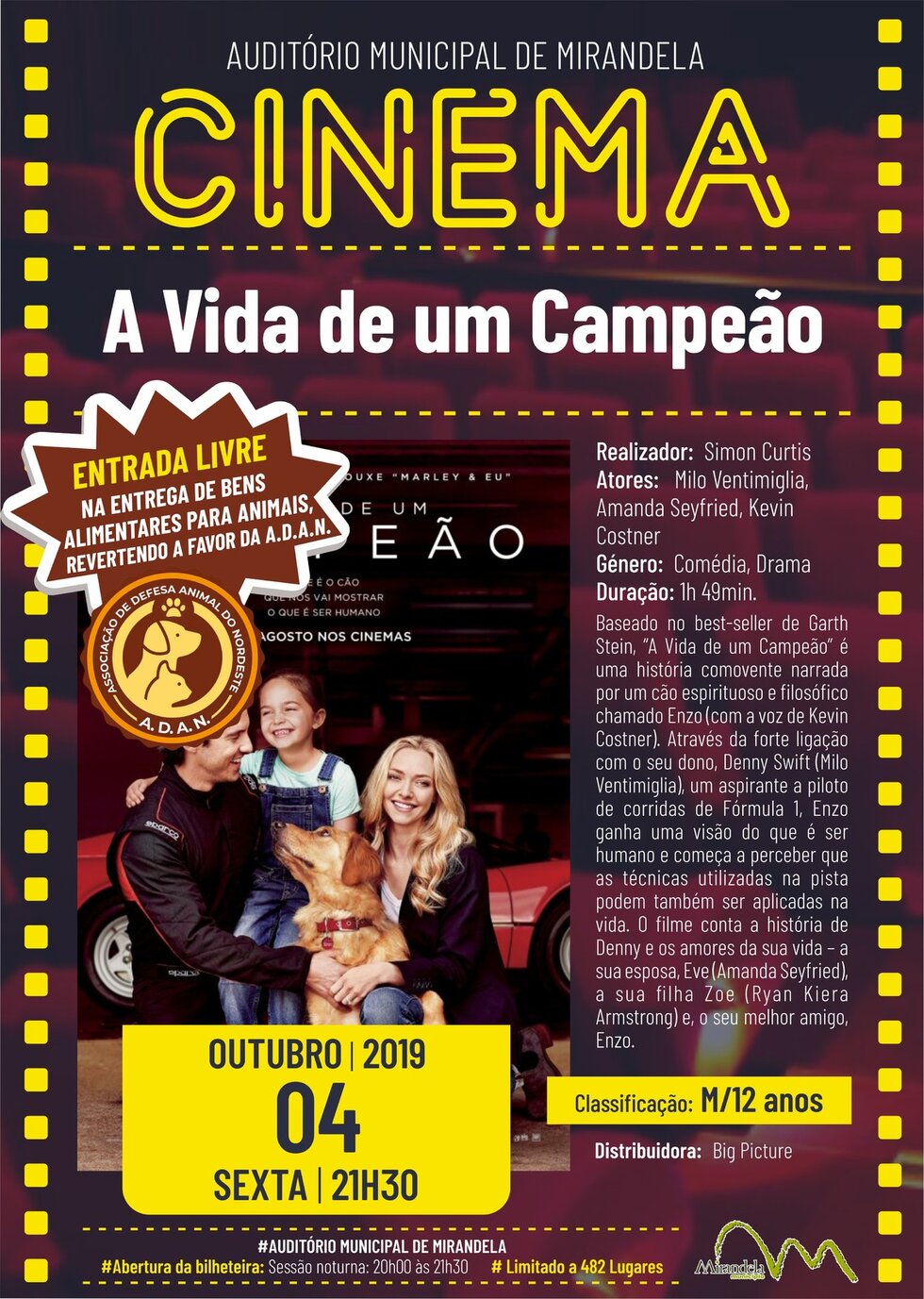 cartaz_filme_a_vida_de_um_campeao