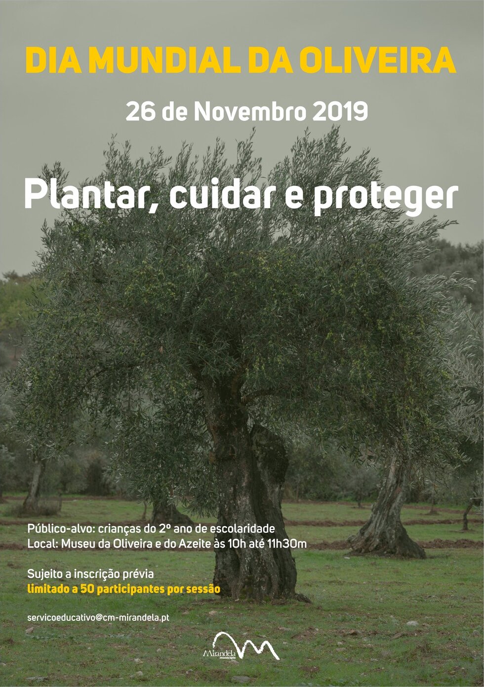 cartaz__dia_mundial_da_oliveira_2019