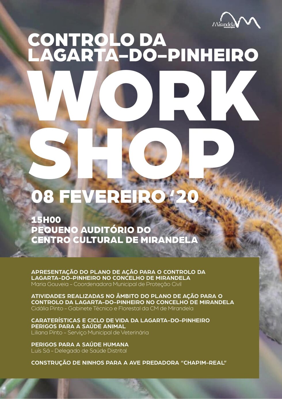 workshop___lagarta_de_pinheiro