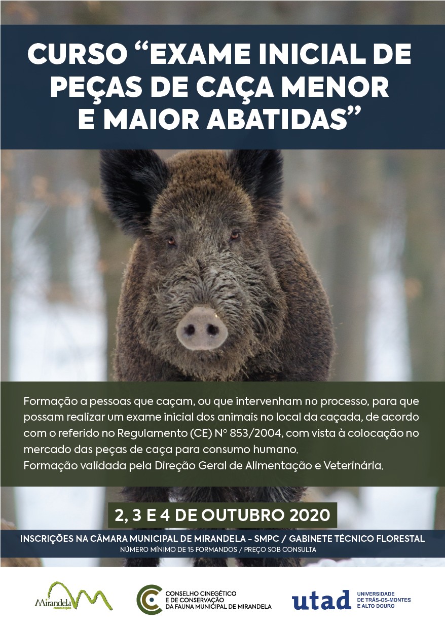 curso_caca_2020_01