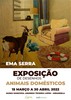thumb_cartaz_exposicao_desenho_animais_domesticos_22_1