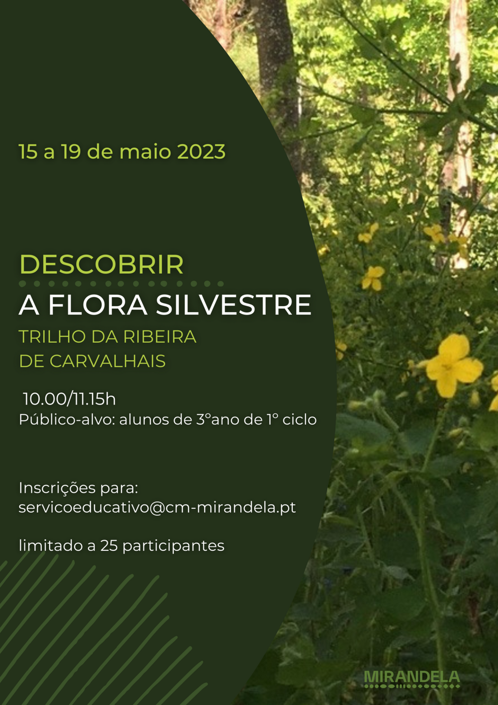 cartaz_descobrir_a_flora_silvestre