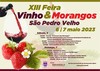 thumb_cartaz_feira_do_vinho___morangos_2023