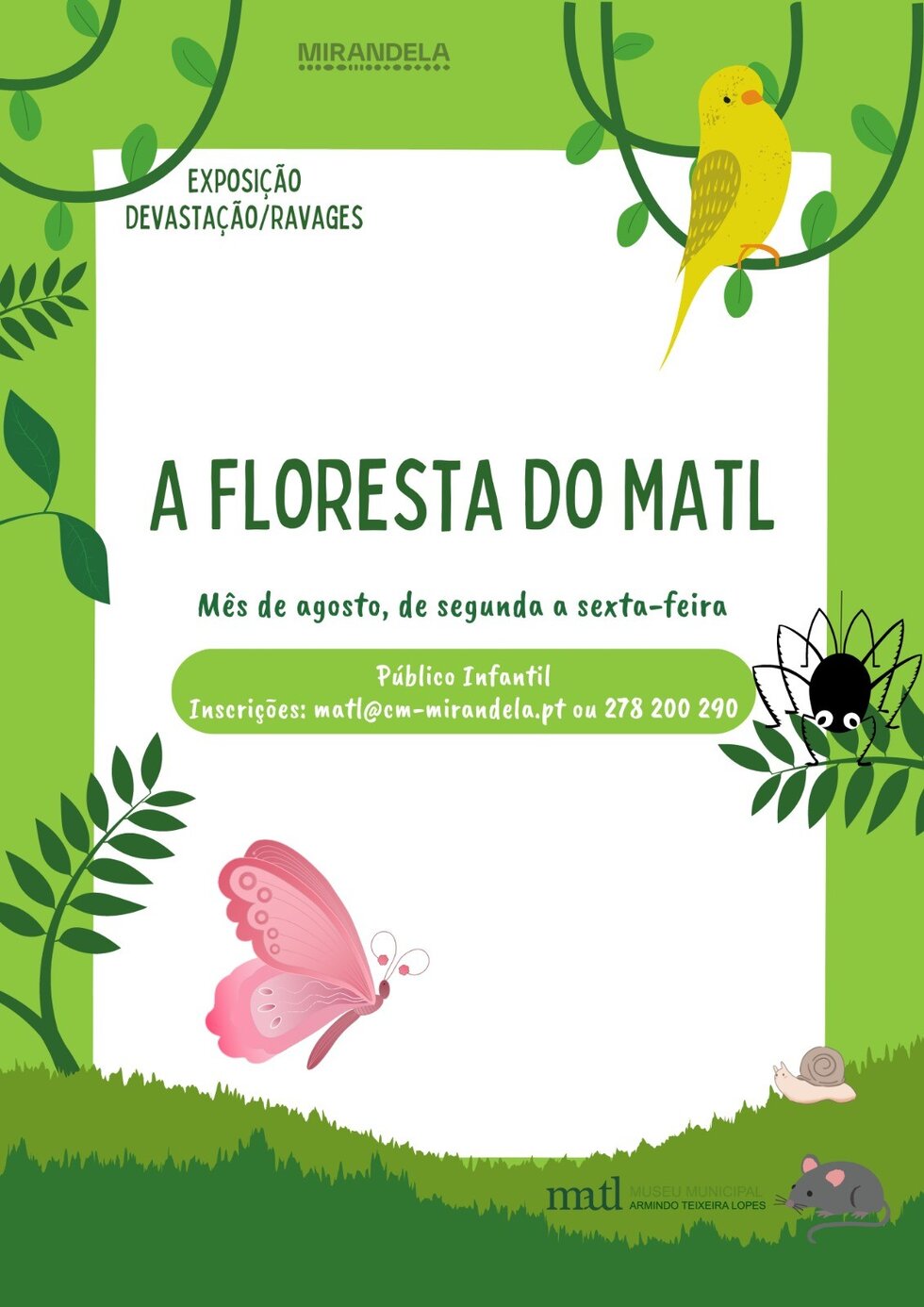 a_floresta_do_matl