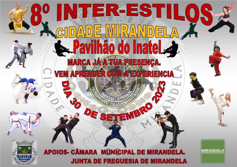 8o_inter_estilos_cidade_mirandela__1__1_