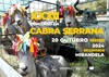 thumb_cartaz_xxxii_concurso_cabra_serrana_24