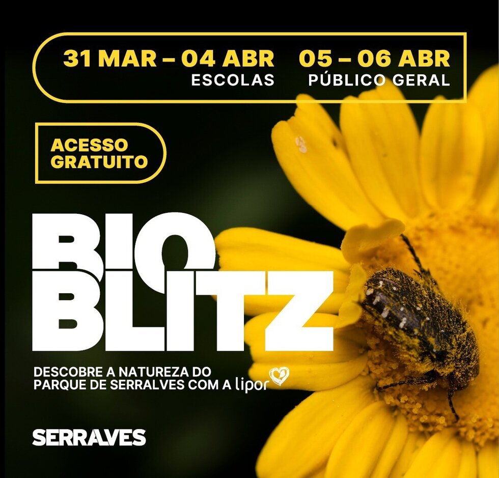 bioblitz