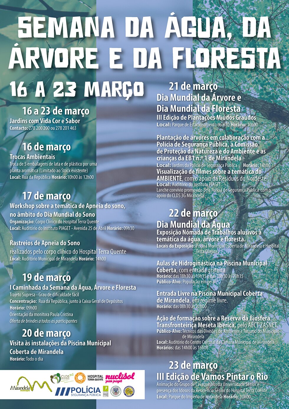 CARTAZ_PROGRAMA-01