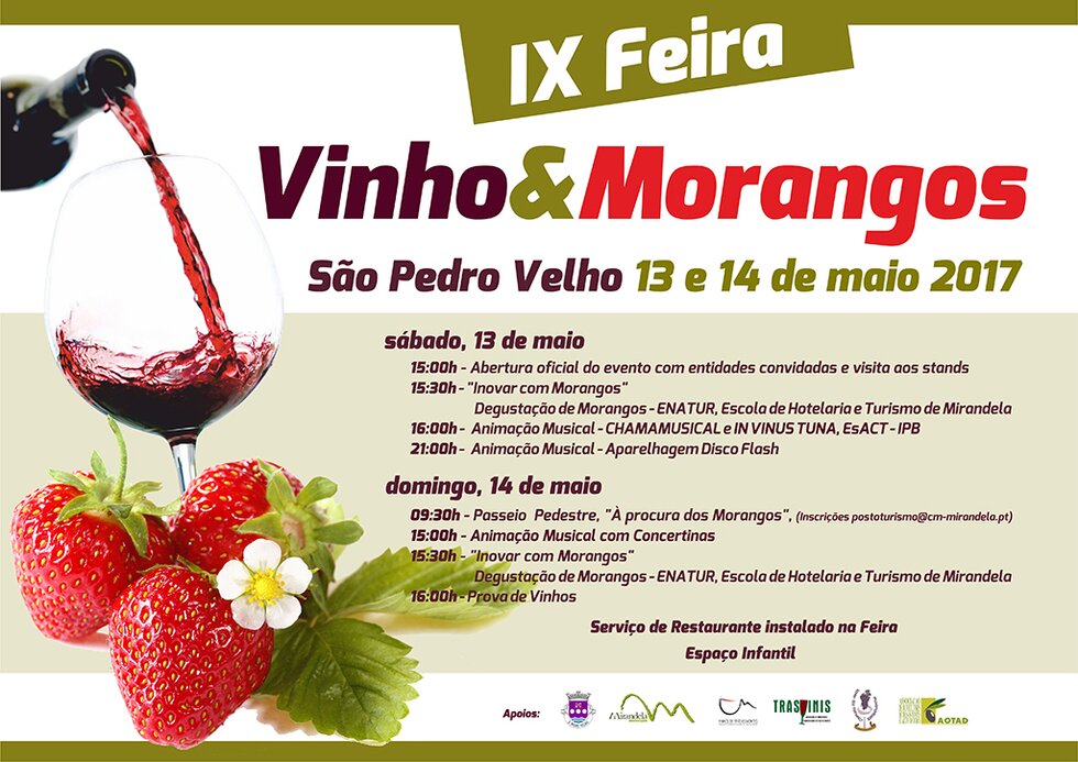 13_14_Maio_9__edi__o_da_Feira_do_Vinho___Morangos_2017