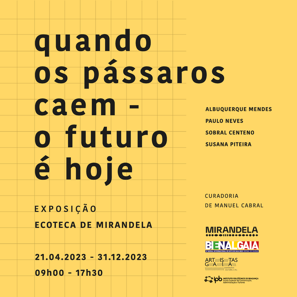 ExposiçãoQuando_ospássaros_caem