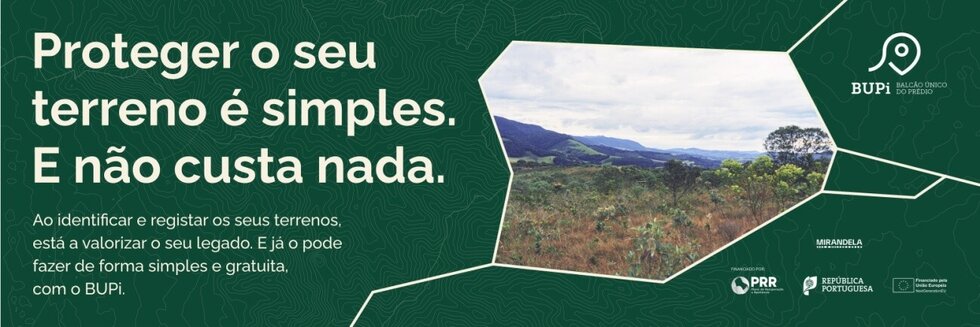 Imagem1