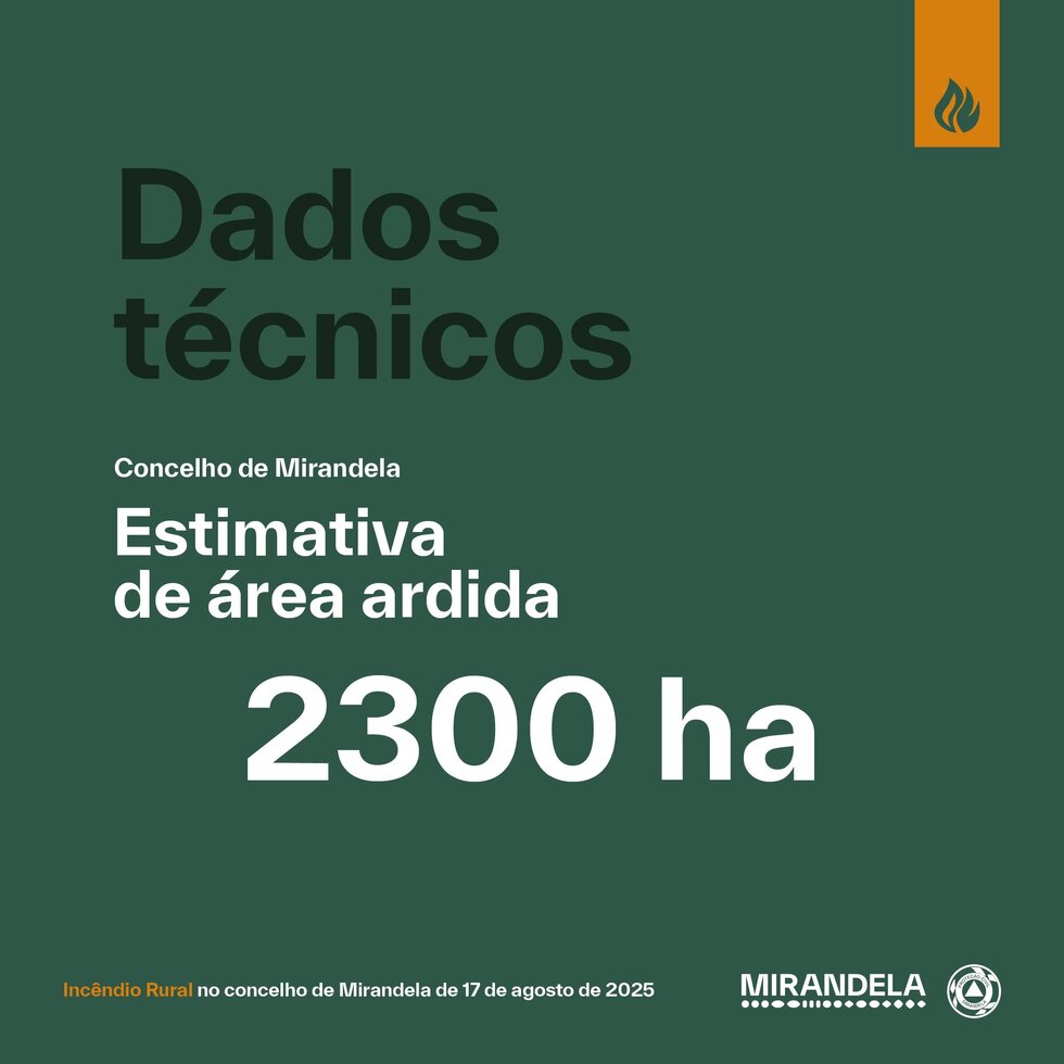 536266999_1235442315292087_867242596300574319_n